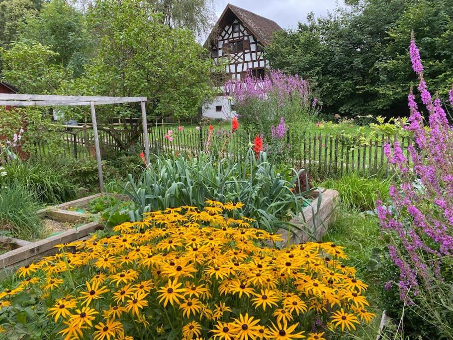 Zahrada ubytování Baudenkmal Mühle Schalchen