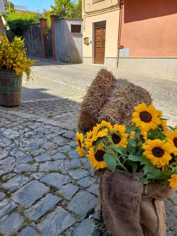 Fotografie z fotogalerie ubytování Mansarda sul Lago a Marta v destinaci Marta