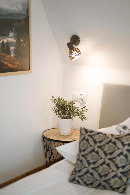 Pokoje Gościnne MAGNAS - 15