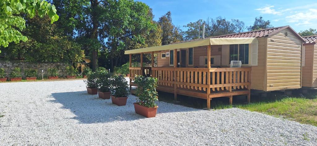 a wooden cabin with potted plants in front of it at Mobile home Viareggio - including airco- Camping Paradiso - G008 in Viareggio