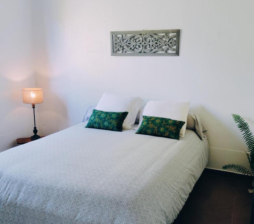 ein Schlafzimmer mit einem weißen Bett mit zwei Kissen in der Unterkunft Les Balisiers du Sud in Saint-Joseph