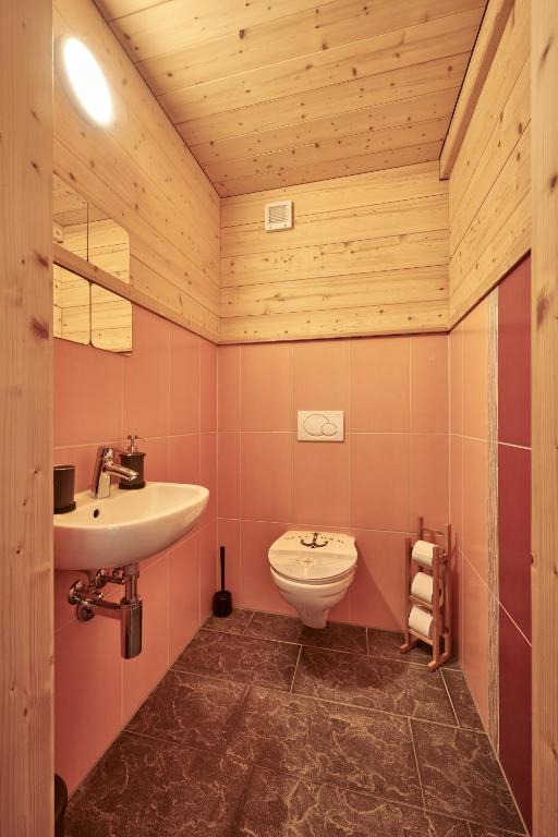 Koupelna v ubytování Chalet Lauterbrunnen