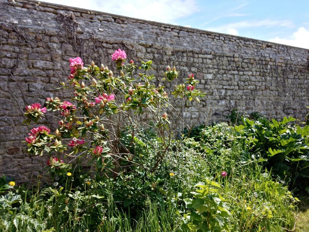 Zahrada ubytování Rose Garden Bayeux