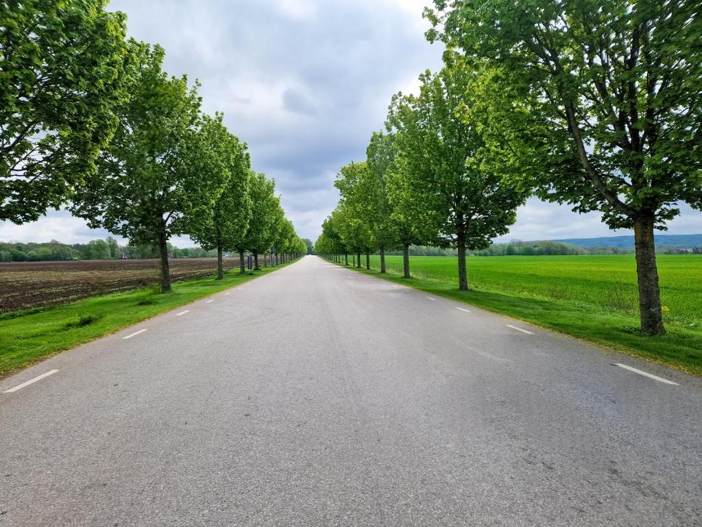 an empty road with trees on either side at Musseronen in Klippan