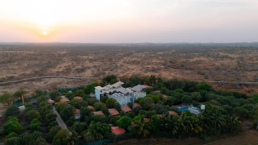 Vue aérienne d'une maison au milieu d'une forêt dans l'établissement Daksh Resort And Amusement Park, à Sasan Gir