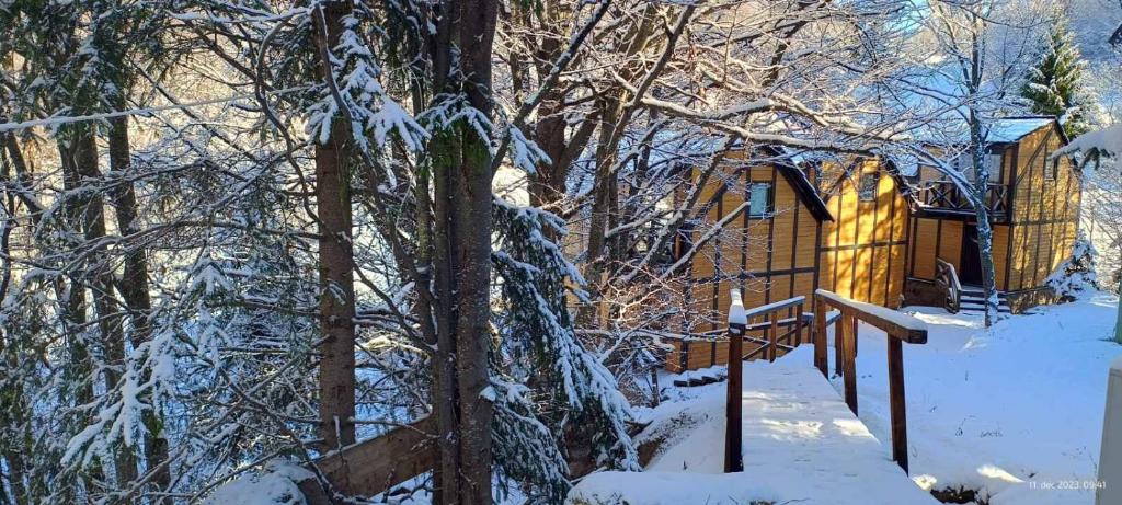 Ski & Spa Bungalows talvel