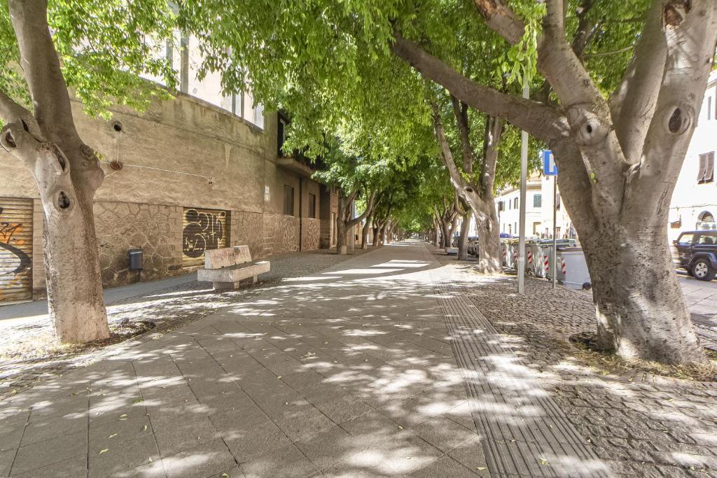 ulica obsadzona drzewami, przy budynku znajduje się ławka w obiekcie Lovely Piazza Santa Maria Apartment w mieście Sassari