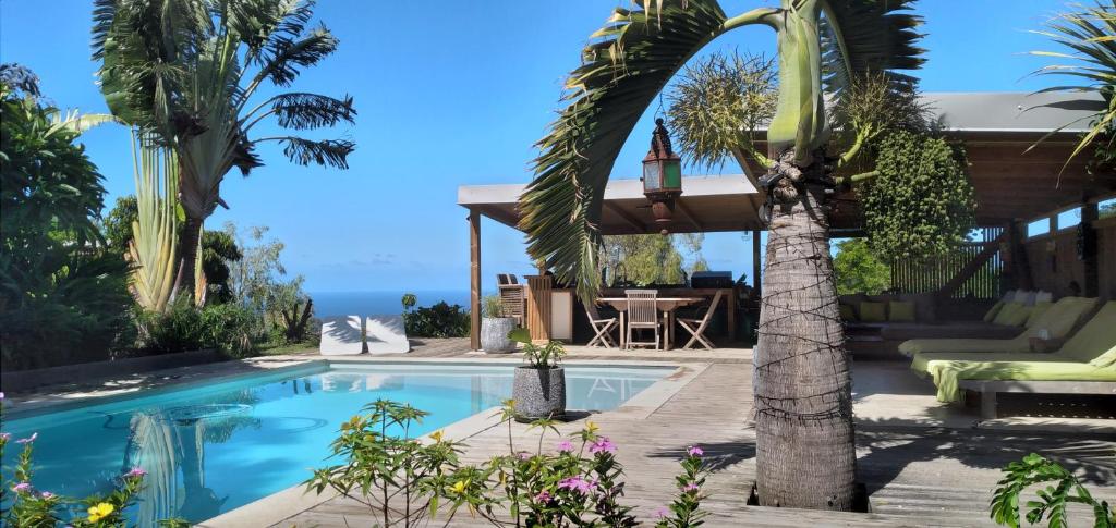 a house with a swimming pool with a palm tree at Villa Baies Roses in Saint-Leu