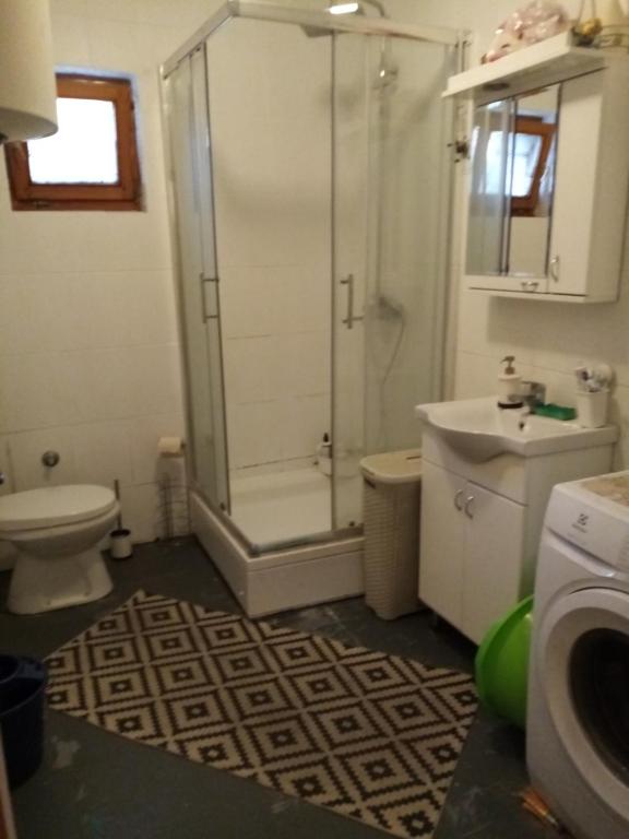 Koupelna v ubytování Stan na dan, miran kraj