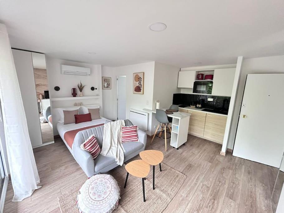 ein Wohnzimmer mit Sofa und eine Küche in der Unterkunft Terre d'occitan-Metro-Parking-Balcon in Ramonville-Saint-Agne