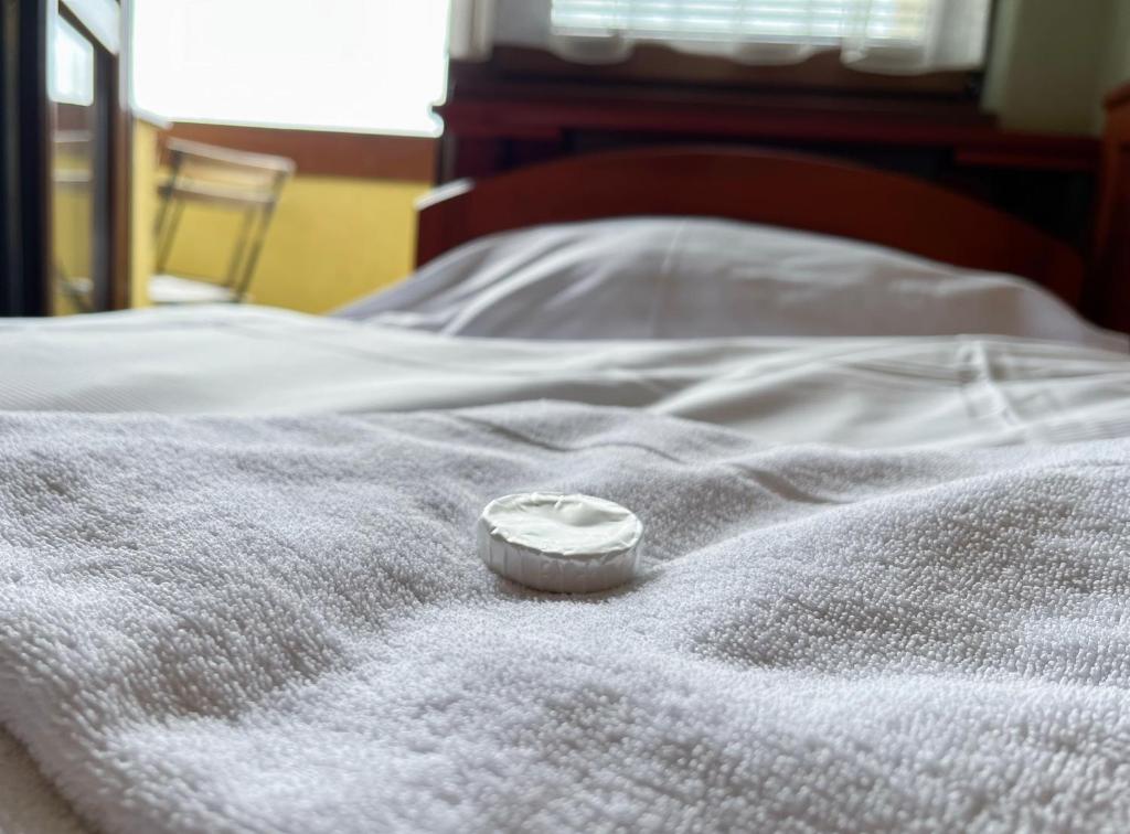 Postel nebo postele na pokoji v ubytování Hotel Závrší