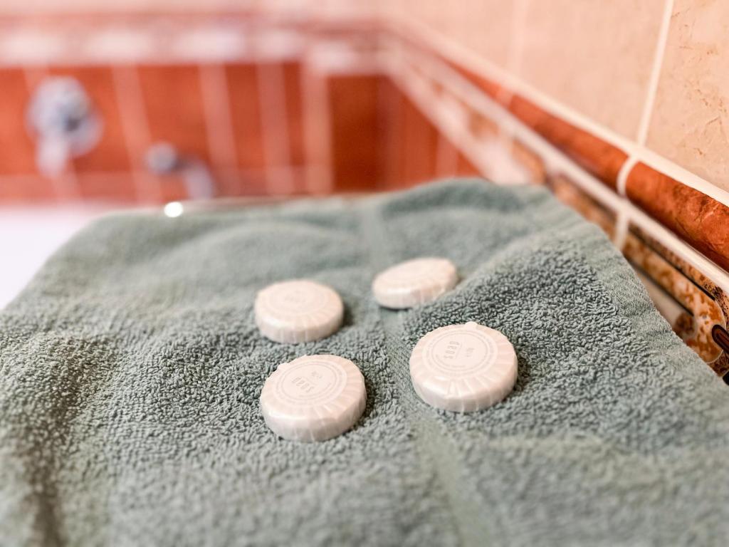 Koupelna v ubytování Hotel Závrší