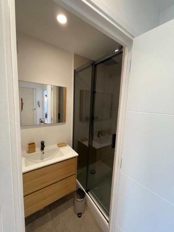 une salle de bain avec un lavabo et une douche dans l'établissement T3 prado plage vélodrome, à Marseille