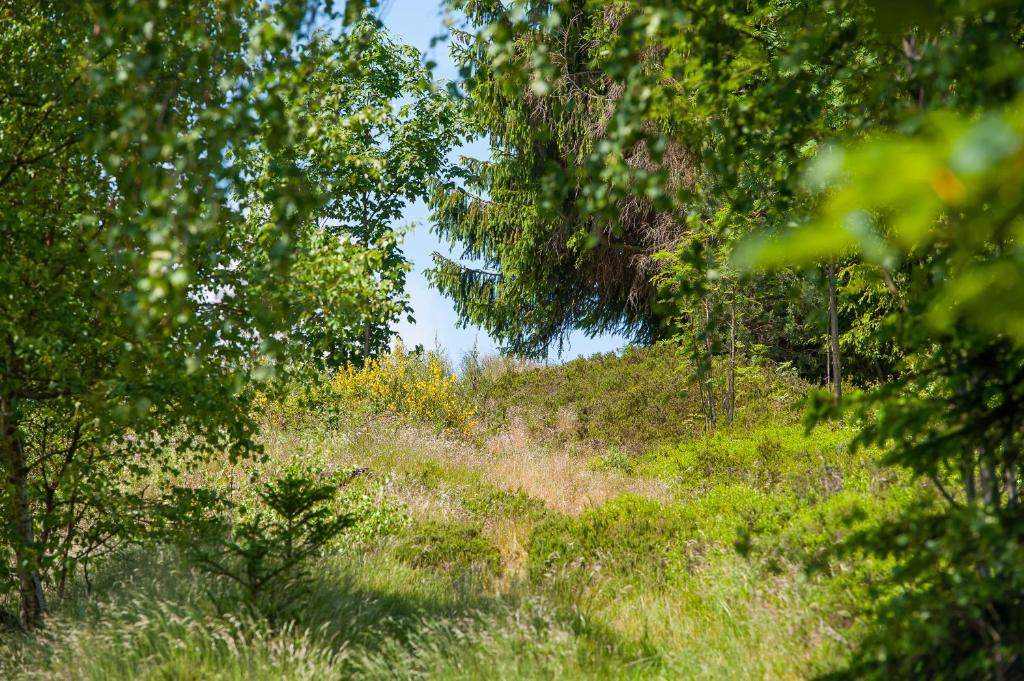 Příroda nedaleko penzionu – hostince