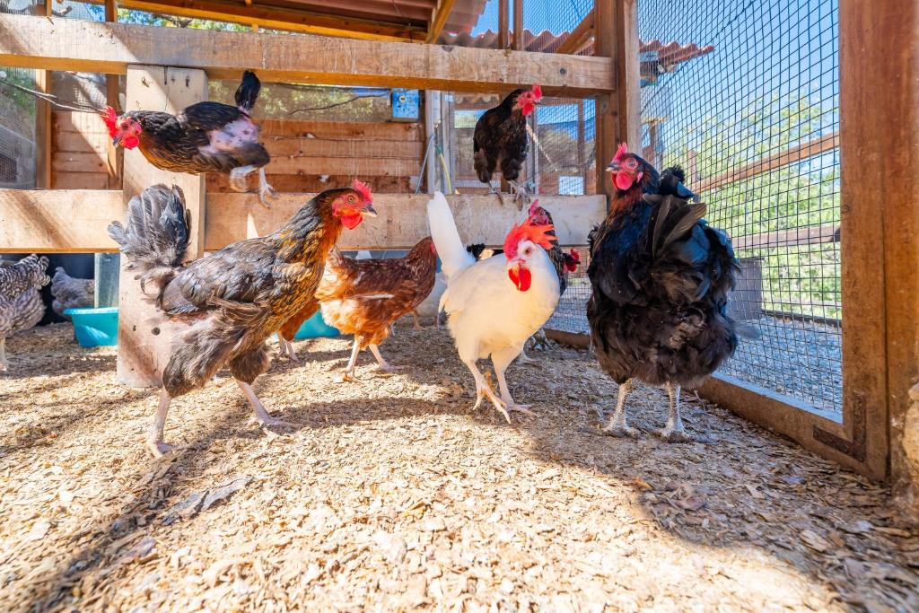 Complejo Rural El Mirador - 5