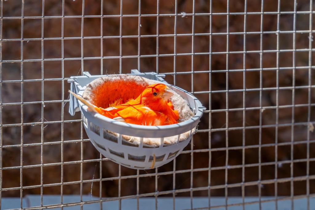 Complejo Rural El Mirador - 4