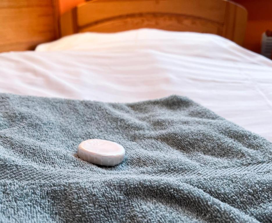 Postel nebo postele na pokoji v ubytování Hotel Závrší