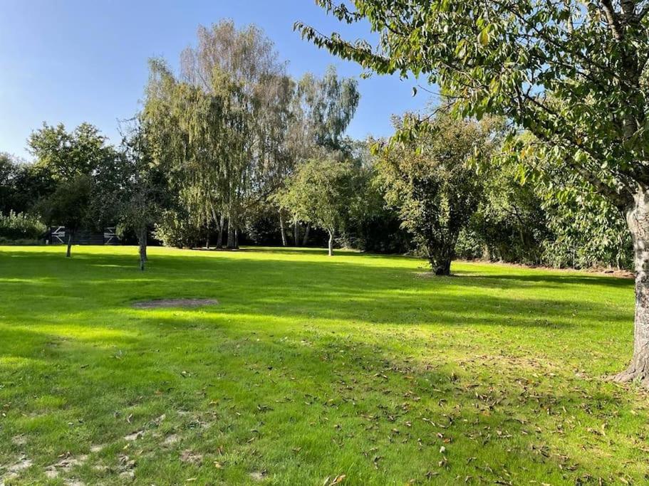 un parc verdoyant avec des arbres et un champ d'herbe dans l'établissement Maison famille-10 min Deauville, à Saint-Étienne-la-Thillaye