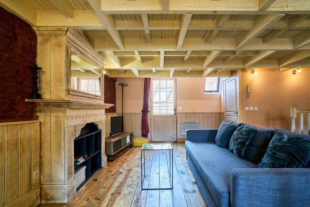 un salon avec un canapé bleu et une cheminée dans l'établissement Old Lille apartment with terrace, à Lille