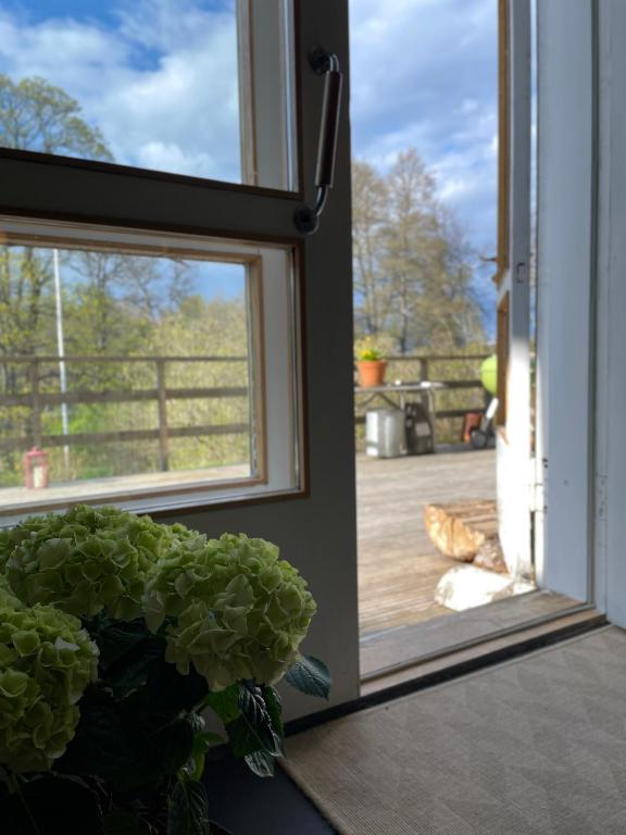Puutarhaa majoituspaikan Lindallén Guest House ulkopuolella