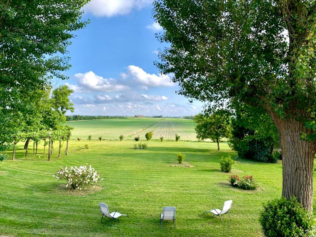 two chairs and a tree in a field at Antica Vigna in Chioggia