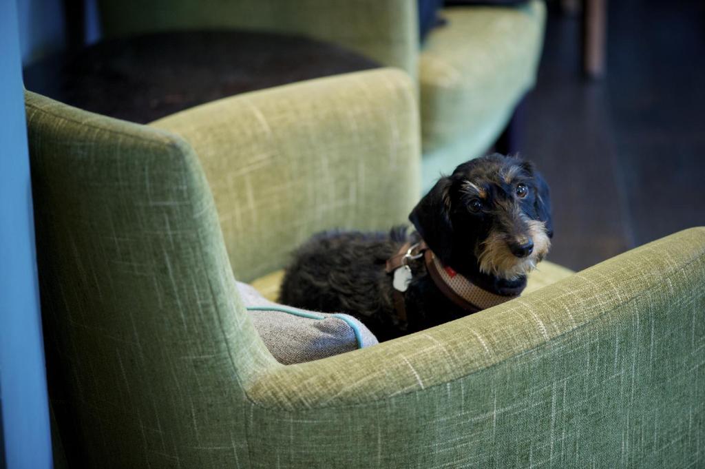 The Lodge Hotel - Putney - Resim 32