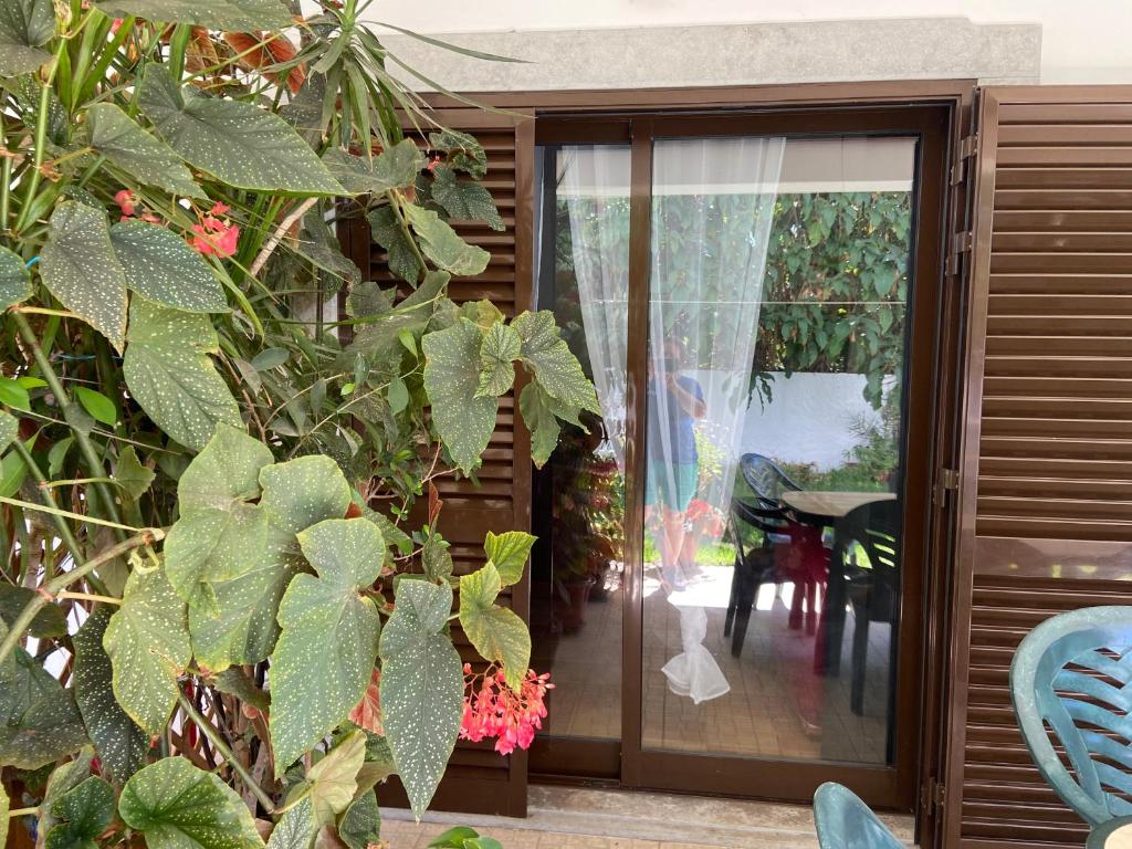 塔韋拉盧什的住宿－A casa da Maria，滑动玻璃门通往带桌子的庭院