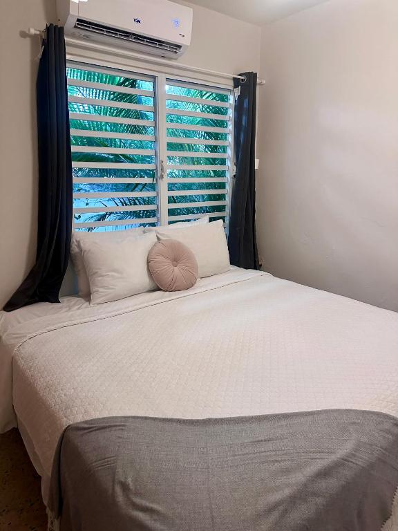 Casa Cecilia PR - Appartement - Begane Grond