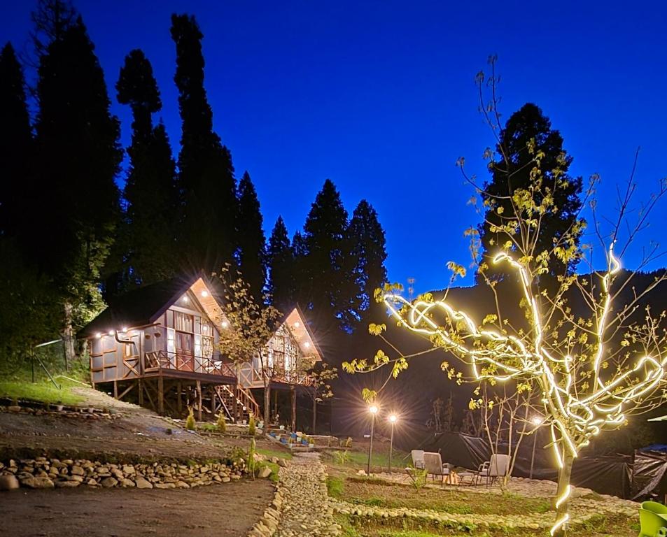 a house lit up at night with lights at Solomons Gray in Tangmarg