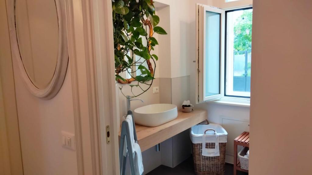 een badkamer met een wastafel en een plant op de toonbank bij ISA's home in Udine