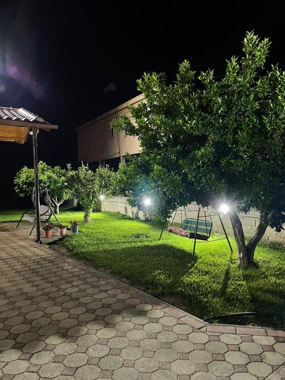 Aed väljaspool majutusasutust Harmony Villa Berat
