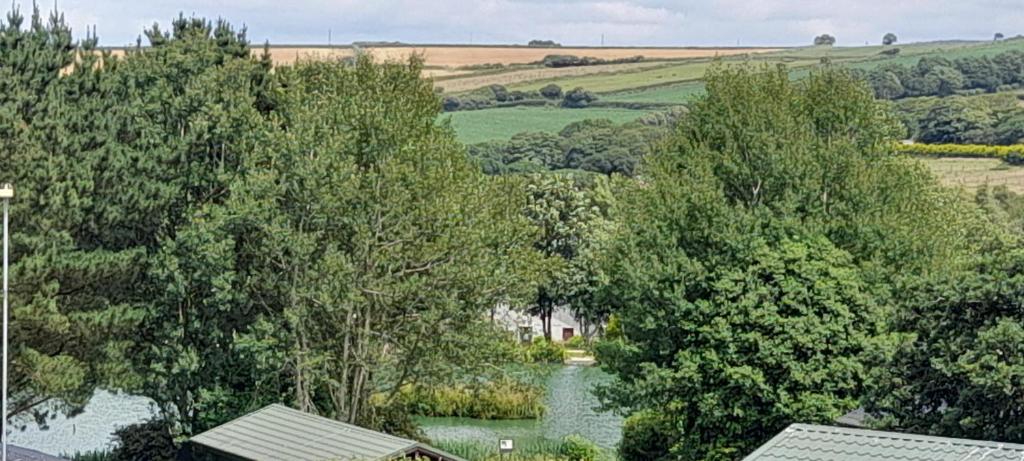 an overhead view of a garden with trees and a river at Lake view in Newquay