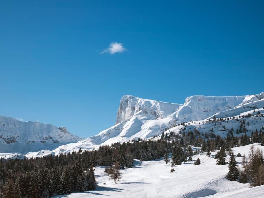 une montagne avec de la neige et des arbres au premier plan dans l'établissement Appart 2 pièces avec balcon, à Saint-Étienne-en-Dévoluy