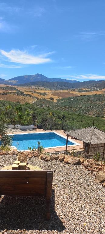 a swimming pool with a bench in front of it at Casa del Sueño in Alora