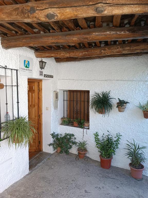a building with potted plants on the side of it at Casa Margarita in Bubión