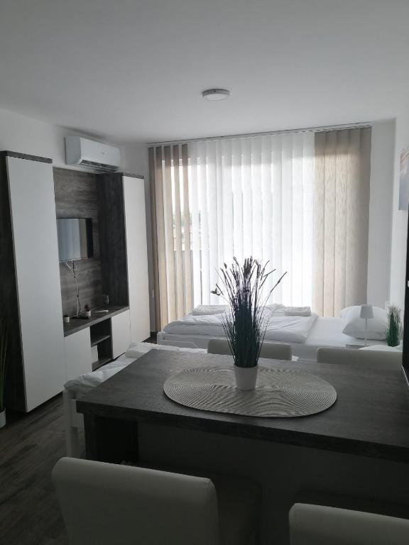 Spa Koncept-Apartmani - One-Bedroom Apartment
