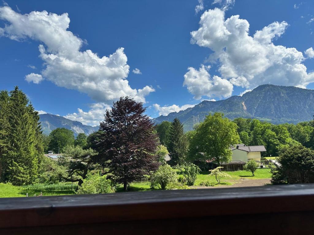 a view of a field with a tree and mountains at Ferienwohnungen Quellenhof in Bad Reichenhall