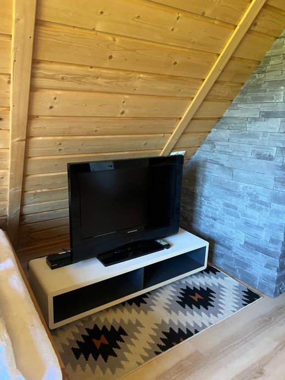 Televízia a/alebo spoločenská miestnosť v ubytovaní Chata u Wozniaka