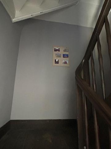 Le petit logelbach – photo 19