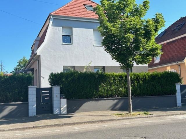Le petit logelbach – photo 6