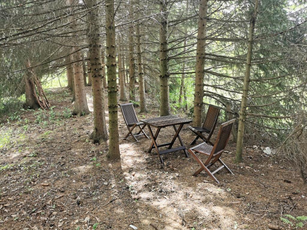 Příroda nedaleko apartmánu