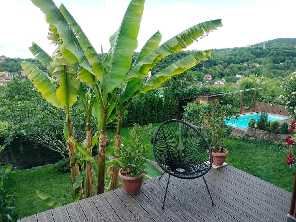 Bazén v ubytování Belvedere nebo v jeho okolí