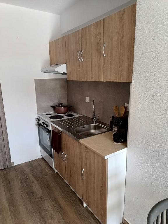 Kuchyň nebo kuchyňský kout v ubytování VICTORY SUITES