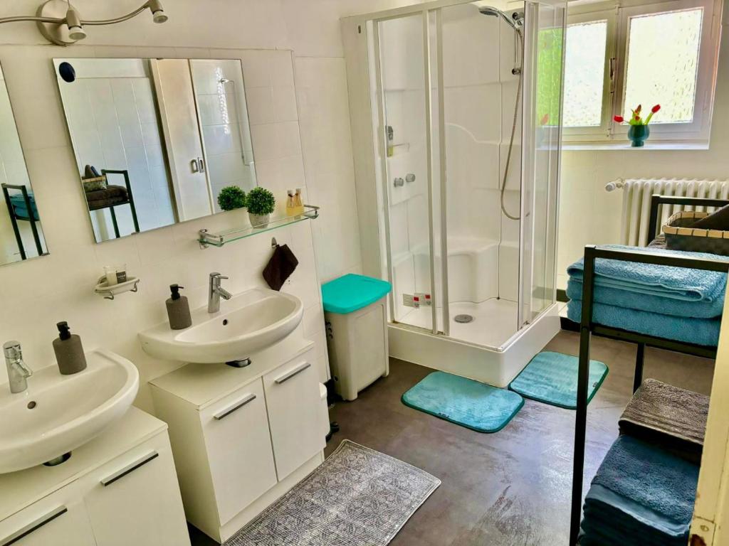盧森堡的住宿－Rue Des Glacis Limpertsberg，一间带两个盥洗盆和淋浴的浴室