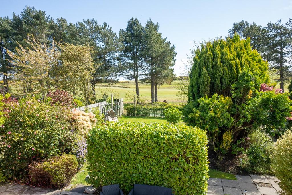 a garden with bushes and trees in the background at Golf Links Cottage - Views of Royal County Down Golf Course in Newcastle
