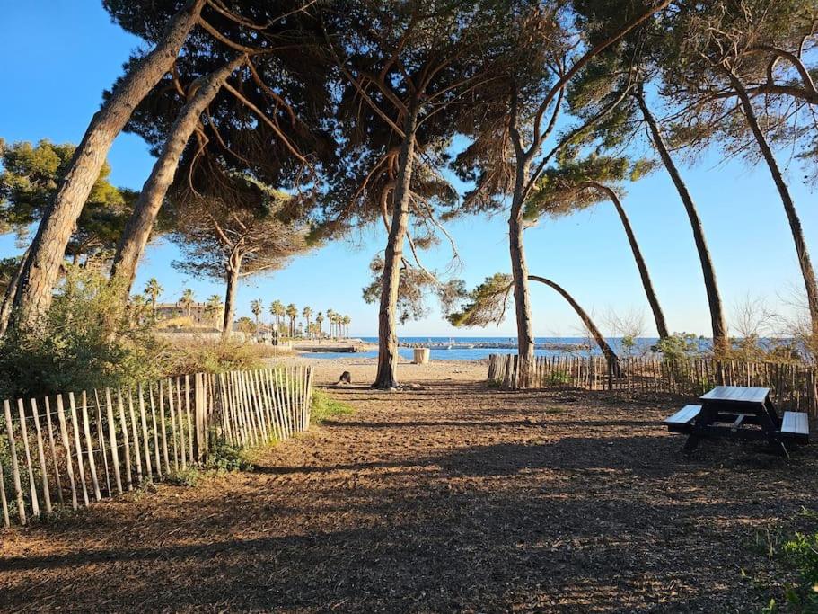 un parc avec un banc et des arbres sur la plage dans l'établissement T2 paisible, wifi, proche plage et pinède, à Saint-Mandrier-sur-Mer