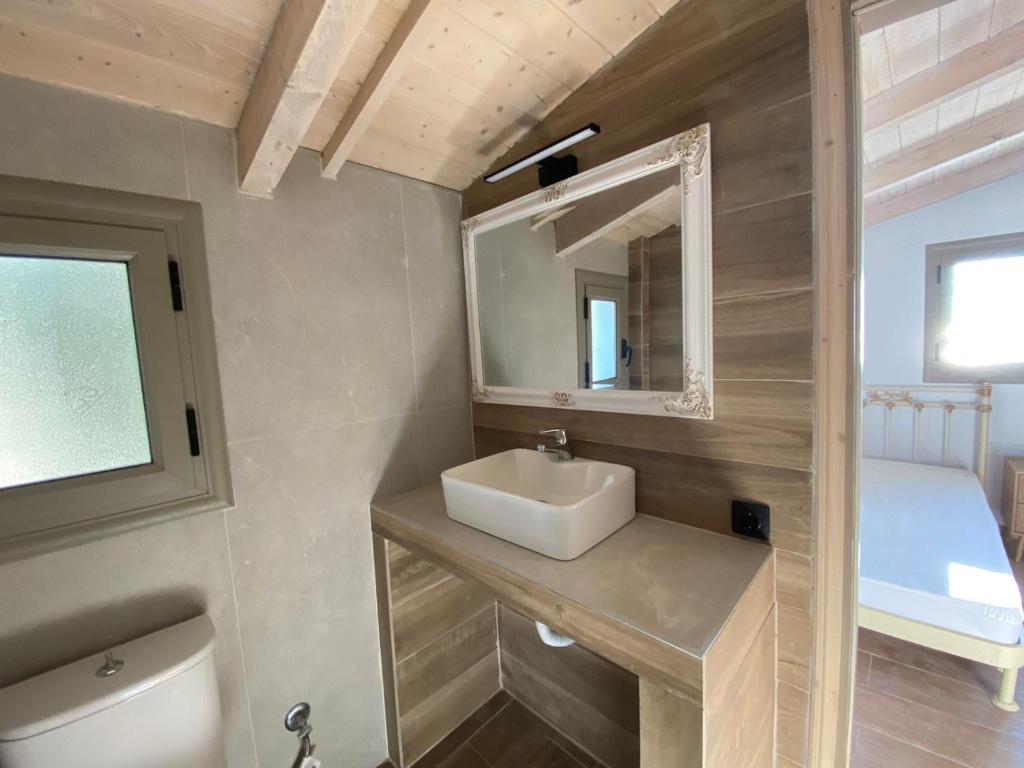 uma casa de banho com um lavatório, um WC e um espelho. em Lavender House 2 - Agios Nikitas em Ayios Nikitas