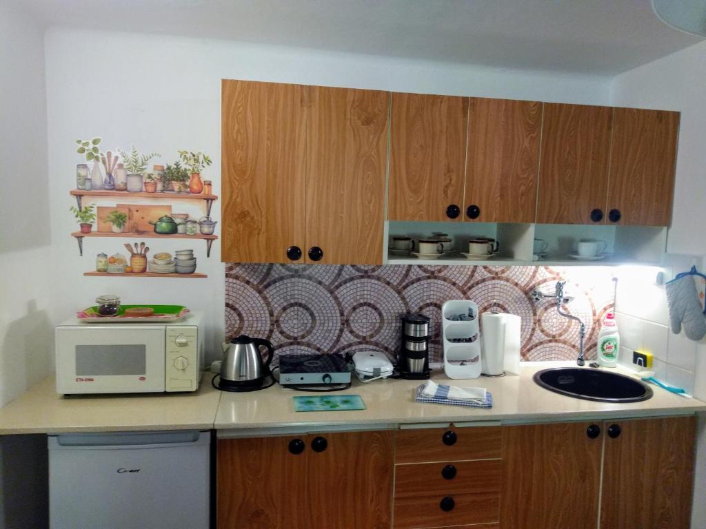 Kuchnia lub aneks kuchenny w obiekcie Pension Archa