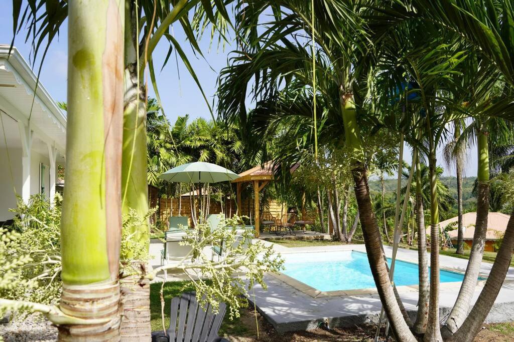 Bazén v ubytování Villa Les 4 colibris, 3 Chambres, piscine, jardin et vue imprenable ! nebo v jeho okolí