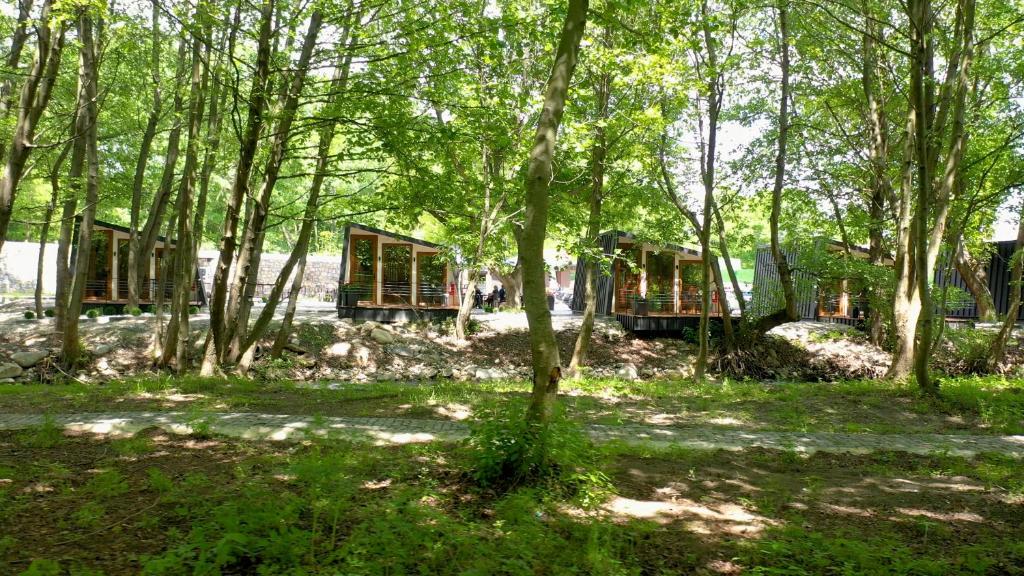 Zahrada ubytování Blisku do Gradot - Riverfront Luxury Cabins
